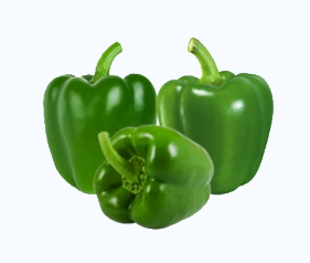 Shree Dhaani Exports Importts